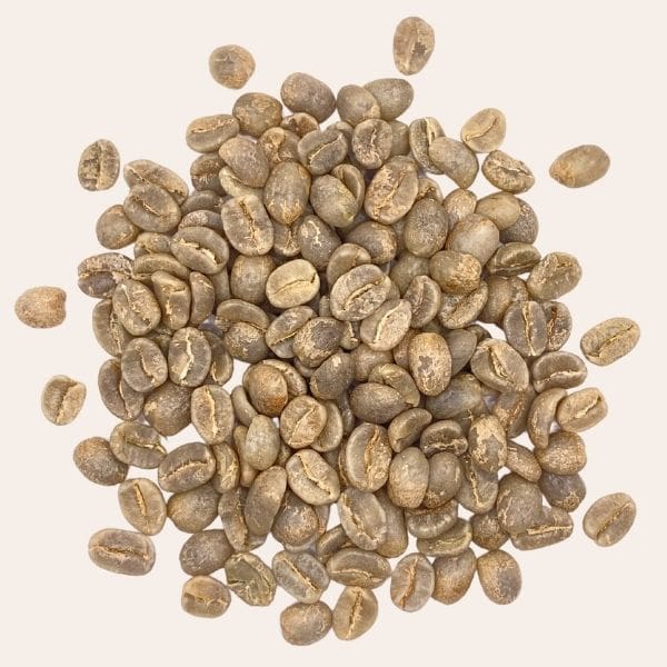 Green Colombian Sq 4.jpg