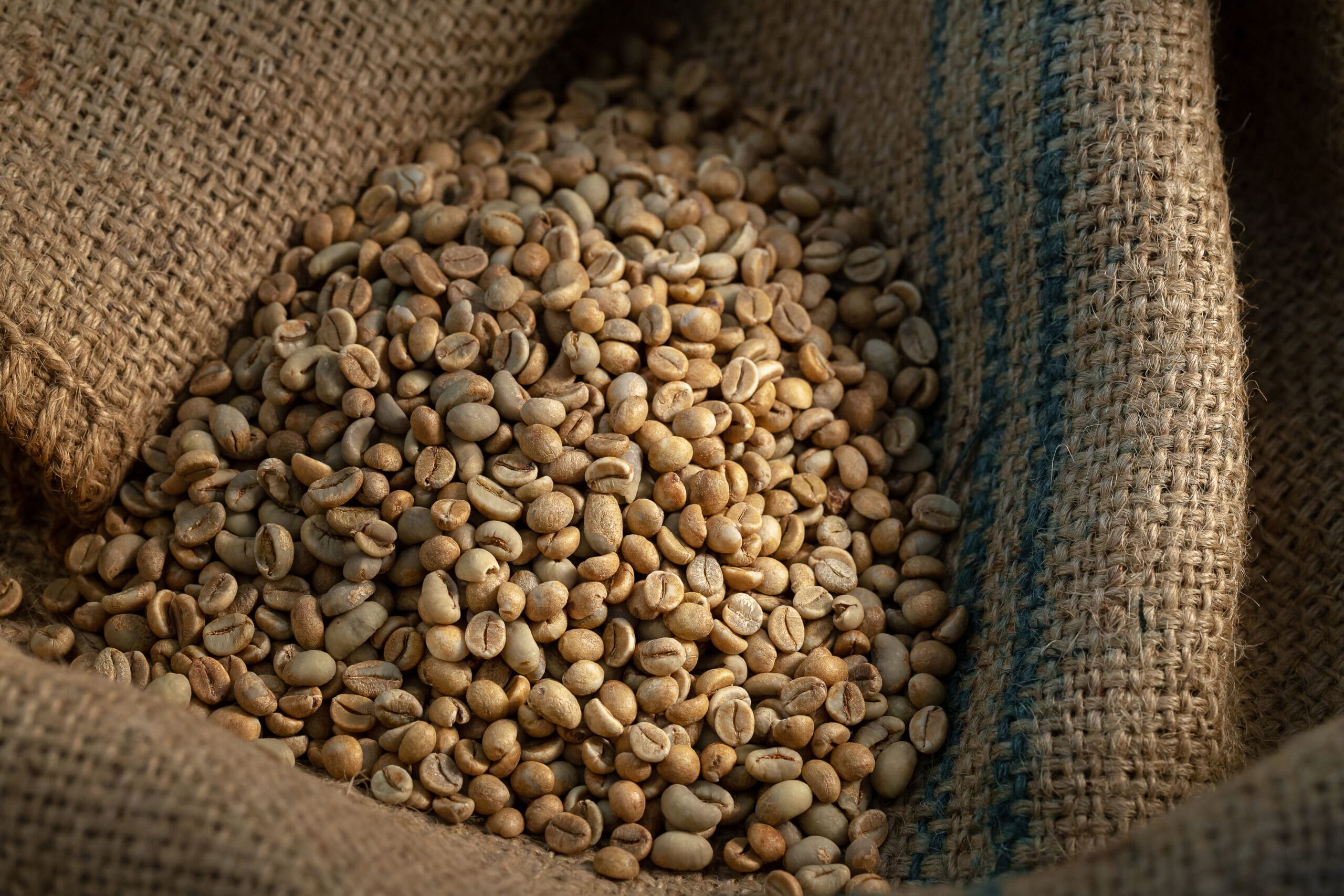 Nicaragua - Lakota Coffee CompanyLakota Coffee Company